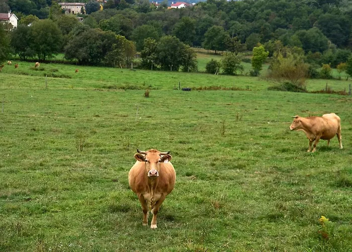 Casa Da Quinta Do Cruzeiro Fontoura