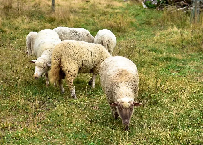 Casa Da Quinta Do Cruzeiro * Fontoura