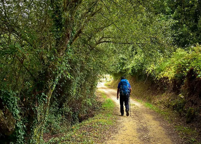 Casa Da Quinta Do Cruzeiro カントリーハウス Fontoura
